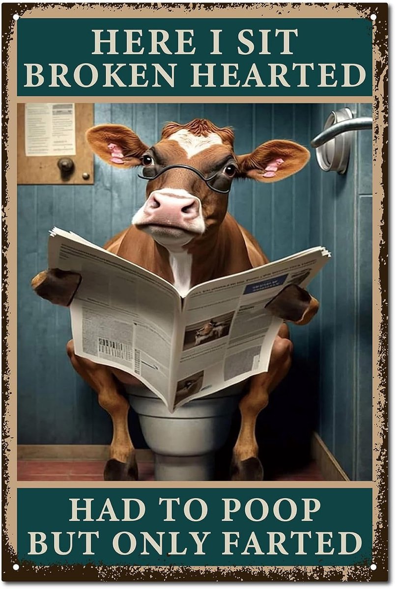 Beef Board Toilet Decor Vintage Retro Tin Sign Metal Wall Art Plaque Iron Painting Poster