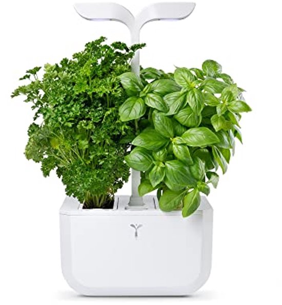 Véritable BOTANEO Eylo - Jardin Intérieur 2 Lingots - LED Auto + Arrosage 3 Semaines - Basilic & Persil Inclus