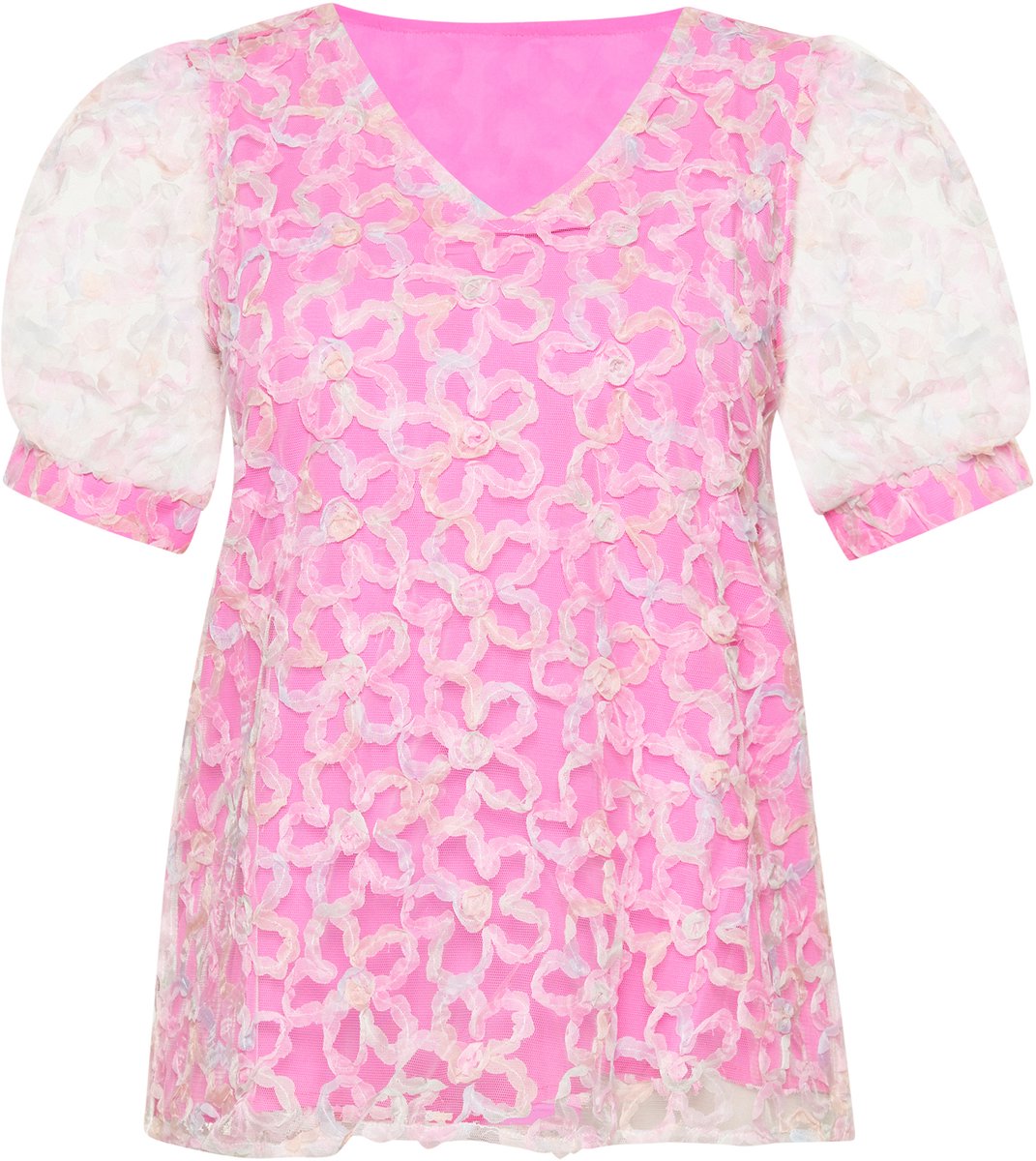 usha Blouse