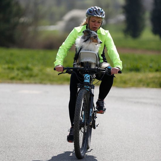 Dogrider Siège pour Chien + Panier - Grijs