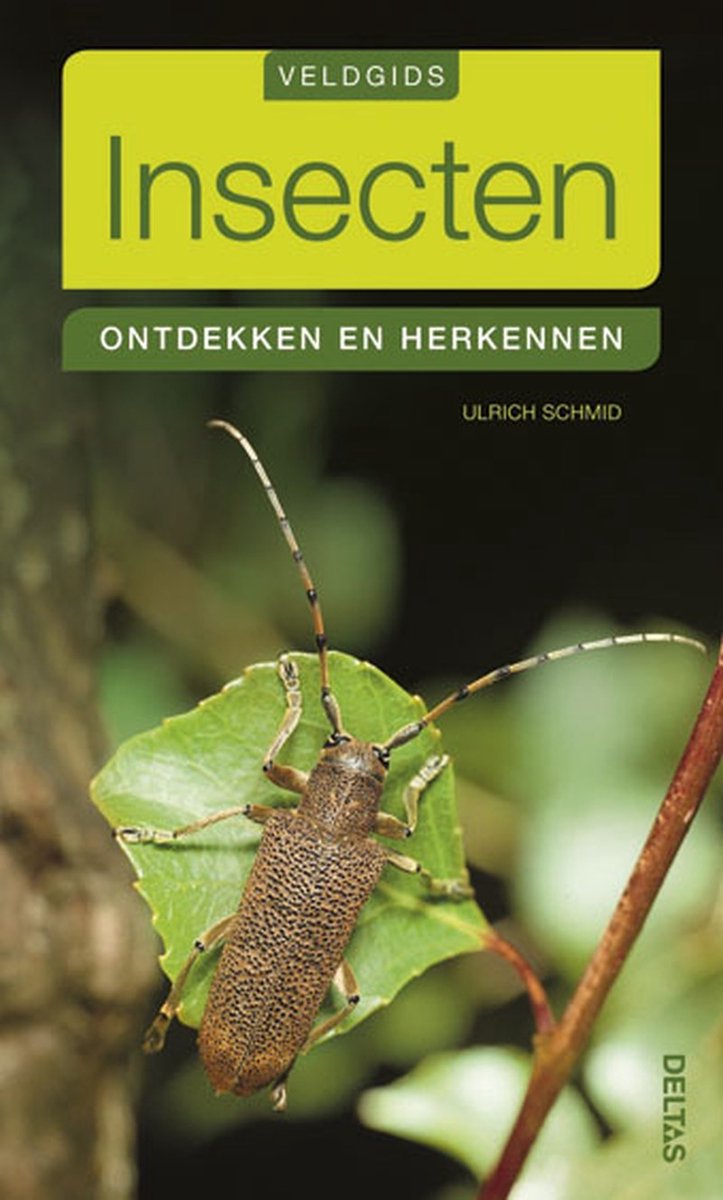 Veldgids: insecten