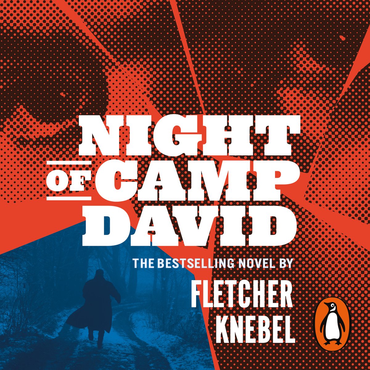 Omslag van Night of Camp David