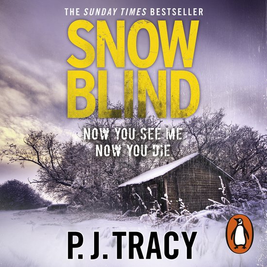 Twin Cities Thriller4- Snow Blind - cover