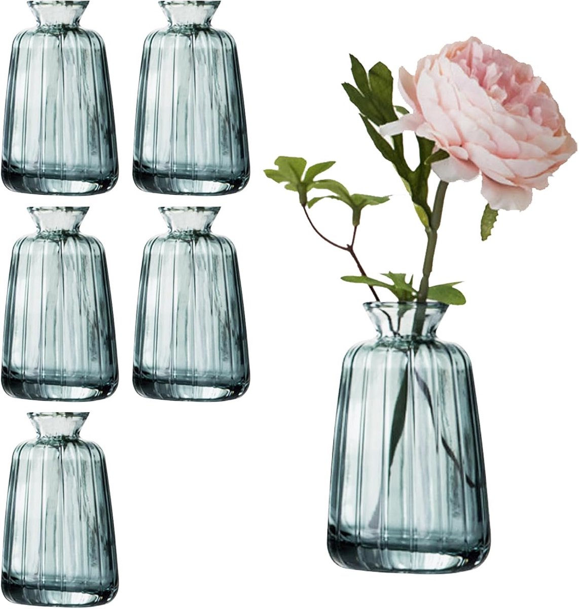 Set van 6 Kleine Glasvazen – Elegante Mini Vaasjes 11×3,5 cm voor Bloemen, Tafeldecoratie en Cadeau