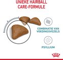 Drie bruine, driehoekige brokken kattenvoer, twee buiten en één binnen een cirkel met stippen. Ernaast een raster met de tekst 'Combinatie van voedingsvezels' en een cirkel met stipjes met de tekst 'Psyllium'.