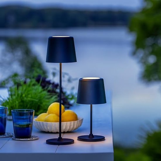 Paddenstoellamp