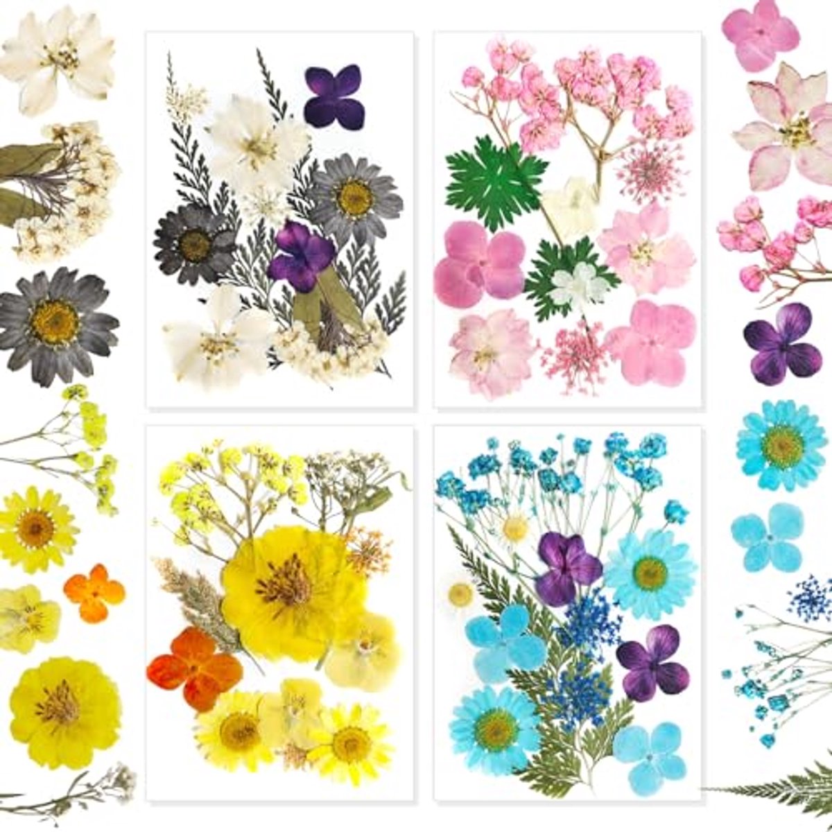 Gedroogde bloemen voor kaarsen en decoratie - geperste droogbloemen voor DIY projecten, nagels en scrapbooking