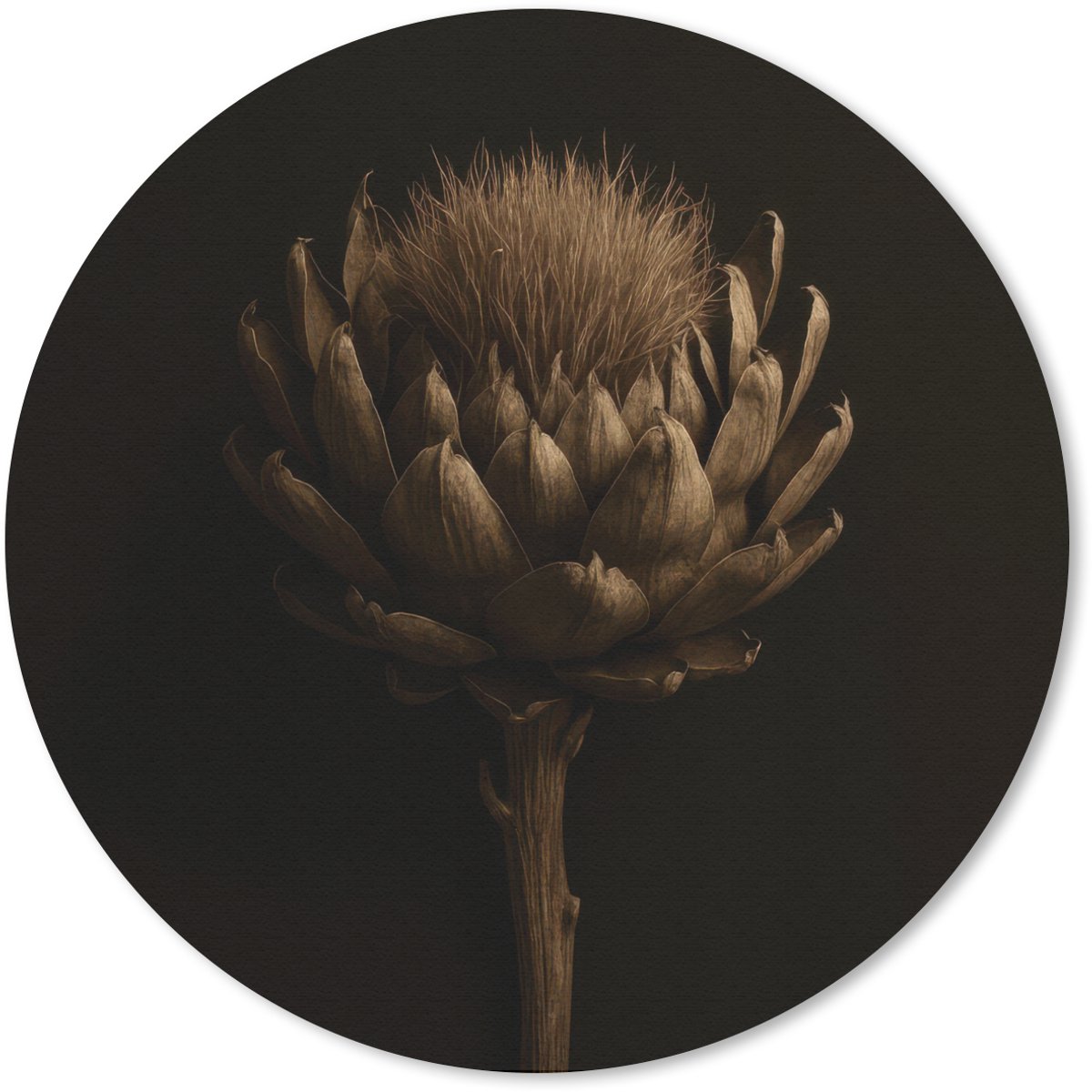 Muismat rond 50x50 cm - Mousepad Donkerbruin - Bloem - Textuur - Artisjok - Ronde muismatten