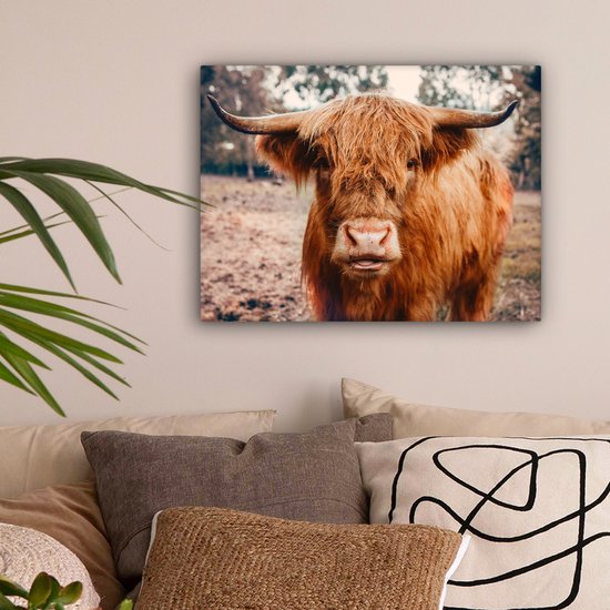 Tableau sur toile - Highlander - Animaux - Vache - Peintures salon - Décoration chambre - Toile toile - 40x30 cm
