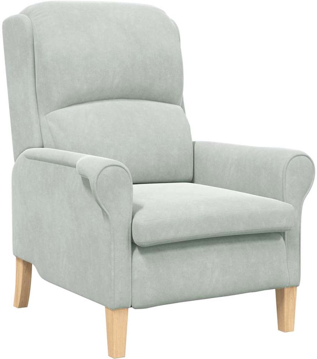 vidaXL Fauteuil - Lichtgrijs - Fluweel
