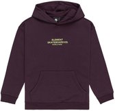Sweat à capuche Element Skateboard Co Violet 14 ans Garçon