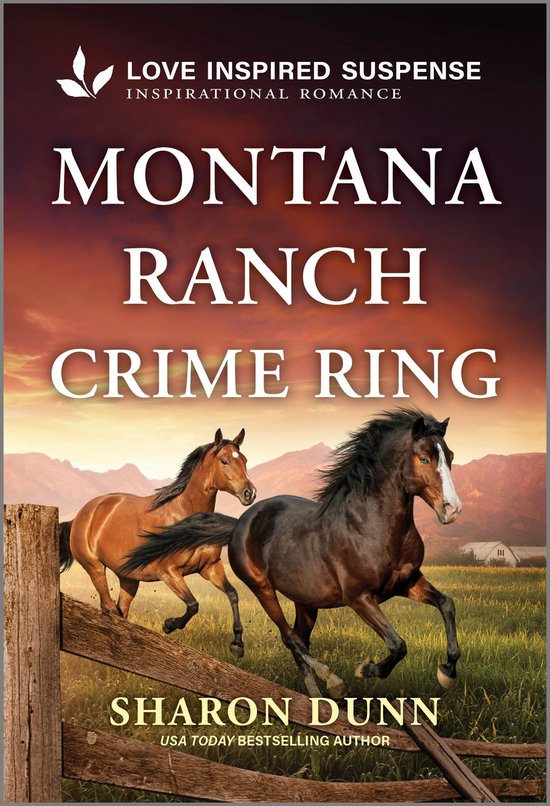 Montana Ranch Crime Ring - cover