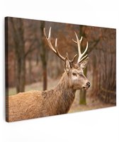 Tuinschilderij voor buiten 120x80 cm - Tuindecoratie Hert - Dier - Bos - Herfst - Hertenkop - Bruin - Natuur - Tuinposter op canvas - Tuin muurdecoratie - Buitenschilderij decoratie - Schutting wanddecoratie - Buitencanvas