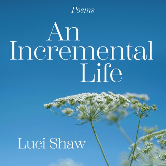 An Incremental Life - cover