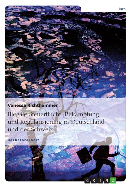 Illegale Steuerflucht: Bekämpfung und Regularisierung in De ... - cover