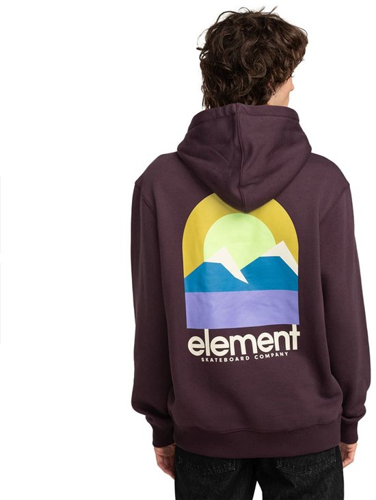 Sweat à capuche Element Halo Violet M Homme