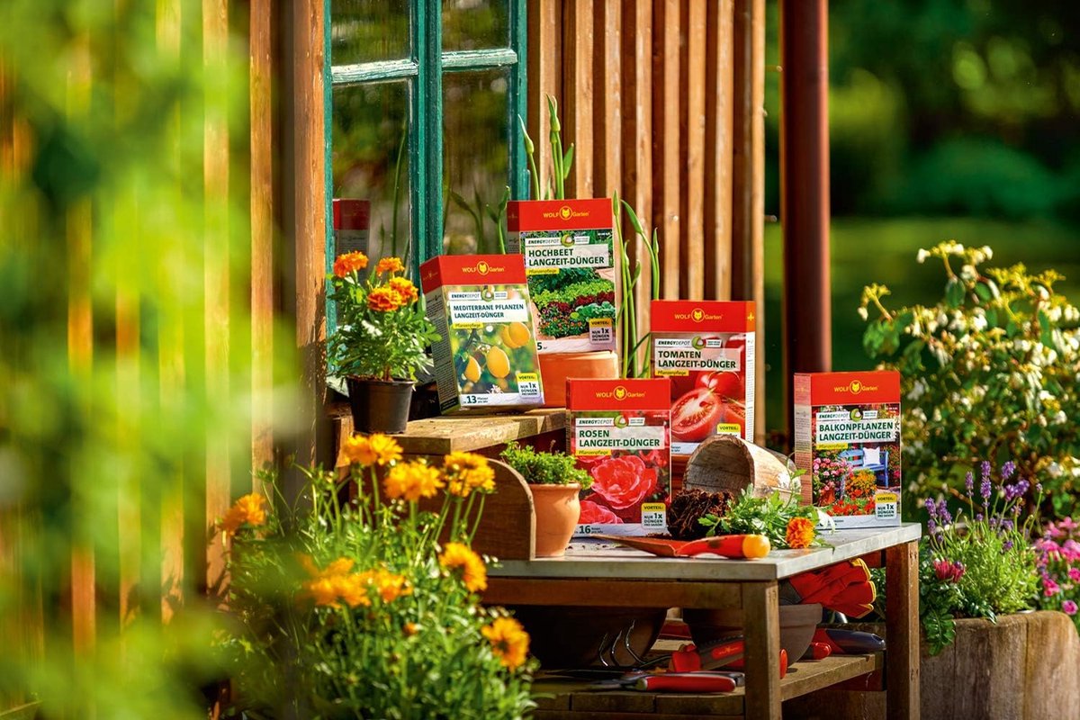 WOLF Garten - Energy Depot Tomaten Langdurige Meststof ED-TO 0,32 (voor ca. 6 planten/jaar); 3875003
