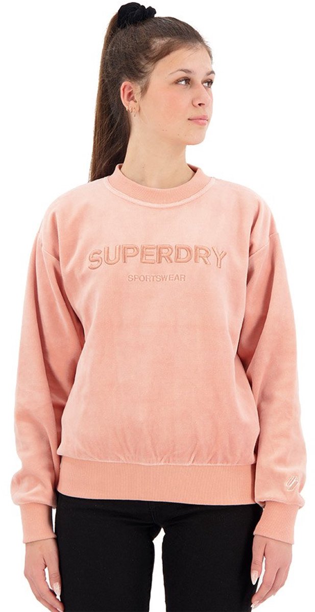 Superdry Wijdvallend velours sweatshirt met print en ronde hals Dames Truien Beige