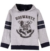 HARRY POTTER - SWEAT À CAPUCHE - GRIS - COTON BROSSÉ - 8 ANS