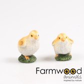 Farmwood Klein Tuinbeeld Kuikentje | 9 cm 9 cm