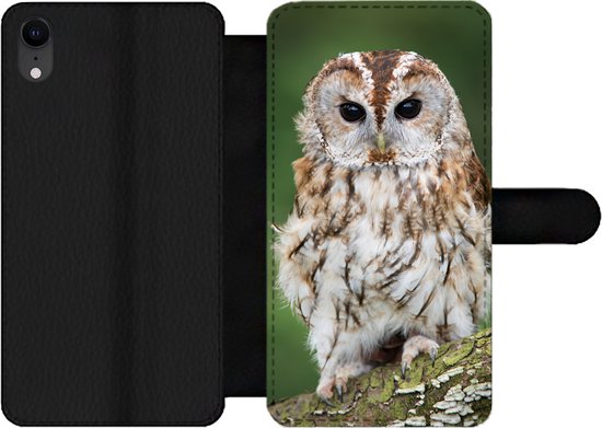 Bookcase Adaptée à la coque de téléphone iPhone XR - Hibou marron assis sur un arbre - Avec compartiments - Étui portefeuille avec fermeture magnétique