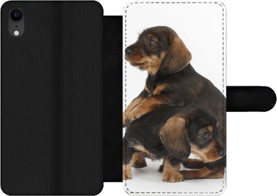 Telefoonhoesje Geschikt voor iPhone XR telefoonhoesje - Studio foto van twee lieve Teckels - Met vakjes - Wallet case met magneetsluiting