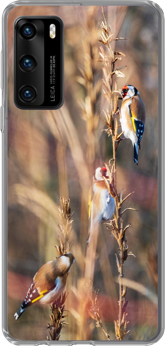 Telefoonhoesje Geschikt voor Huawei P40 hoesje - Vogels - Takken - Bos - Siliconen Telefoonhoesje Telefoonhoesje