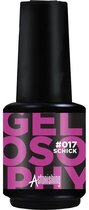 Astonishing Gelosophy 017 schick 15ml