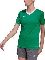 adidas - Entrada 22 Jersey - Groene Voetbalshirt Dames-M
