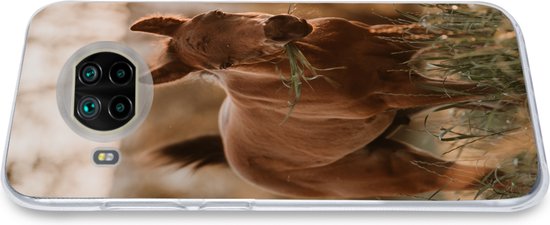 Coque Xiaomi Mi 10T Lite 5G - Cheval - Soleil - Herbe - Coque en Siliconen