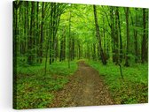 Artaza - Peinture sur toile - Sentier dans la forêt verte - 90x60 - Photo sur toile - Impression sur toile