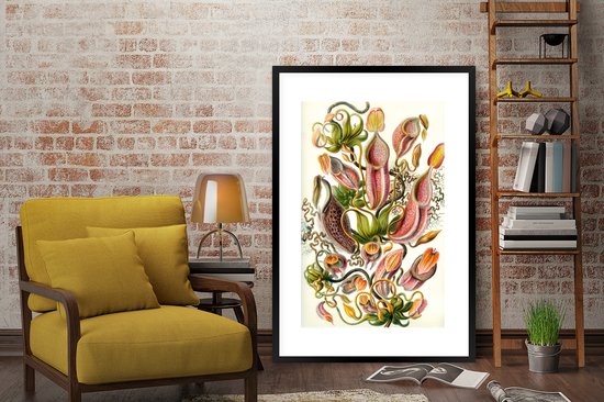 Affiche avec cadre Design - Botanique - plant carnivore - Ernst Haeckel - 80x120 cm