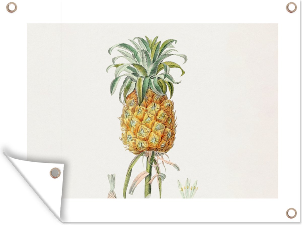 Tuin decoratie Ananas - Fruit - Vintage - 40x30 cm - Tuindoek