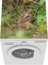 Wasmachine beschermer mat - Een draaihals is op zoek naar voedsel - Breedte 60 cm x hoogte 60 cm