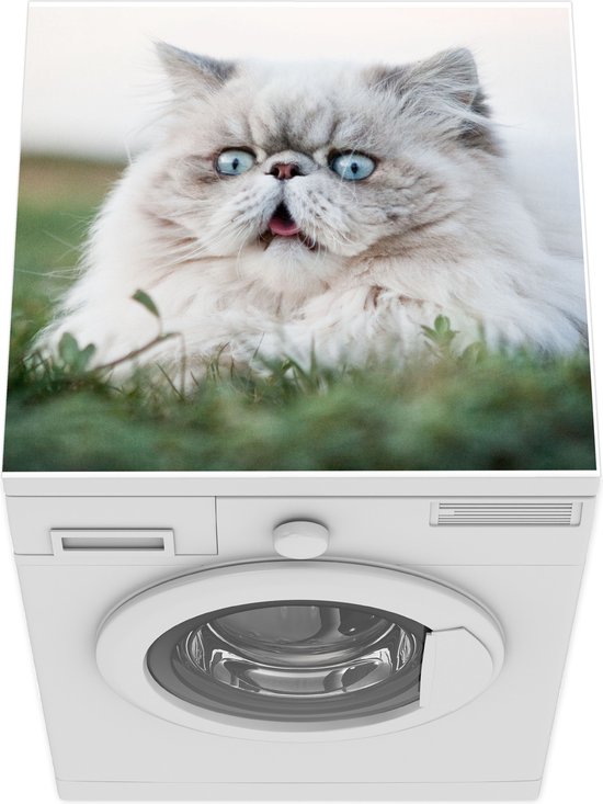 Protège machine à laver - Tapis de machine à laver - Chat persan gris aux  yeux bleu