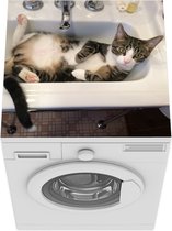 Wasmachine beschermer mat - Kat - Wasbak - Badkamer - Breedte 60 cm x hoogte 60 cm