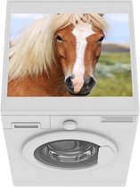 Wasmachine beschermer mat -  een IJslands paard - Breedte 55 cm x hoogte 45 cm