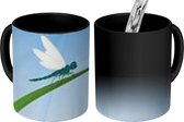 Magische Mok - Foto op Warmte Mok - een libelle op een grasspriet - 350 ML - Uitdeelcadeautjes