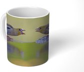 Mok - Vogelbad - Vogel - Water - 350 ML - Beker - Uitdeelcadeautjes