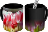 Magische Mok - Foto op Warmte Mok - Roze tulpenbloemen - 350 ML - Uitdeelcadeautjes