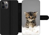Bookcase Geschikt voor iPhone 11 Pro Max telefoonhoesje - Kat - Kitten - Veren - Met vakjes - Wallet case met magneetsluiting