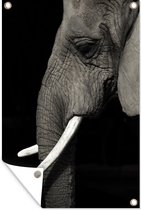 Tuindecoratie Olifant met grote slagtanden - 40x60 cm - Tuinposter - Tuindoek - Buitenposter