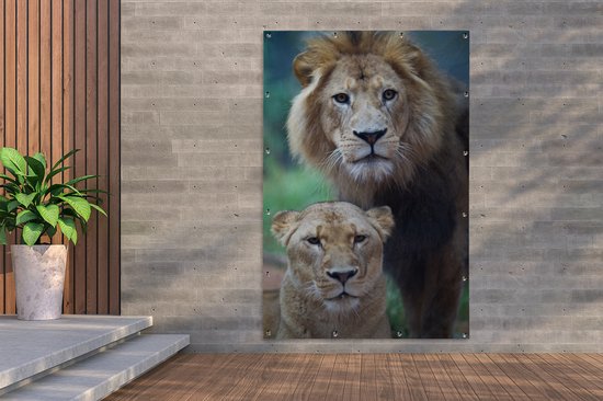 Peluche Lion et Lionne Marron