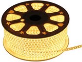 LED Lichtslang plat 50 meter 3000K warm wit 180 LEDs per meter IP65