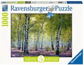 Puzzel 1000 stukjes Nature Edition Berkenbos