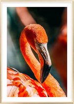Poster Met Metaal Gouden Lijst - Flamingo Poster