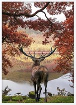Poster Met Witte Lijst - Red Deer Poster