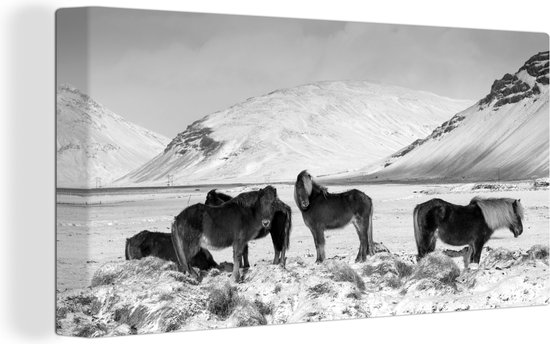 Canvas Schilderij Besneeuwde bergen met IJslander paarden - zwart wit - 80x40 cm - Wanddecoratie