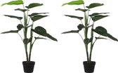 Mica Decorations Philodendron Kunstplant in Pot - H100 x Ø70 cm - Set van 2