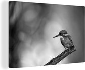 Canvas Schilderij IJsvogel fotoprint - zwart wit - 90x60 cm - Wanddecoratie